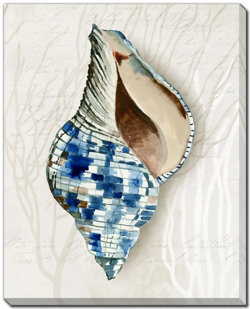 Blue Shell, Set of 2 - 16" x 20"