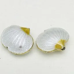 Cloisonne Shell Bead, Milky White 20mm